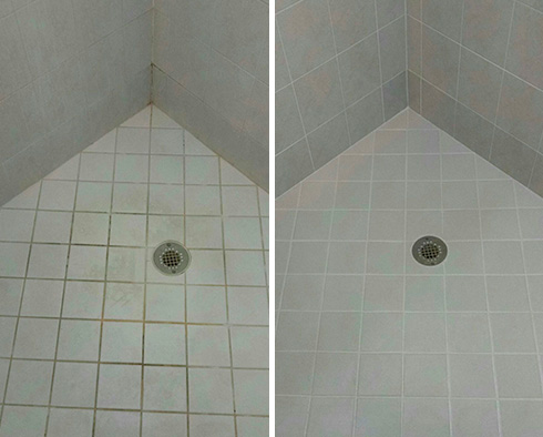 Shower Floor Before and After Our Westfield Grout Recoloring Service